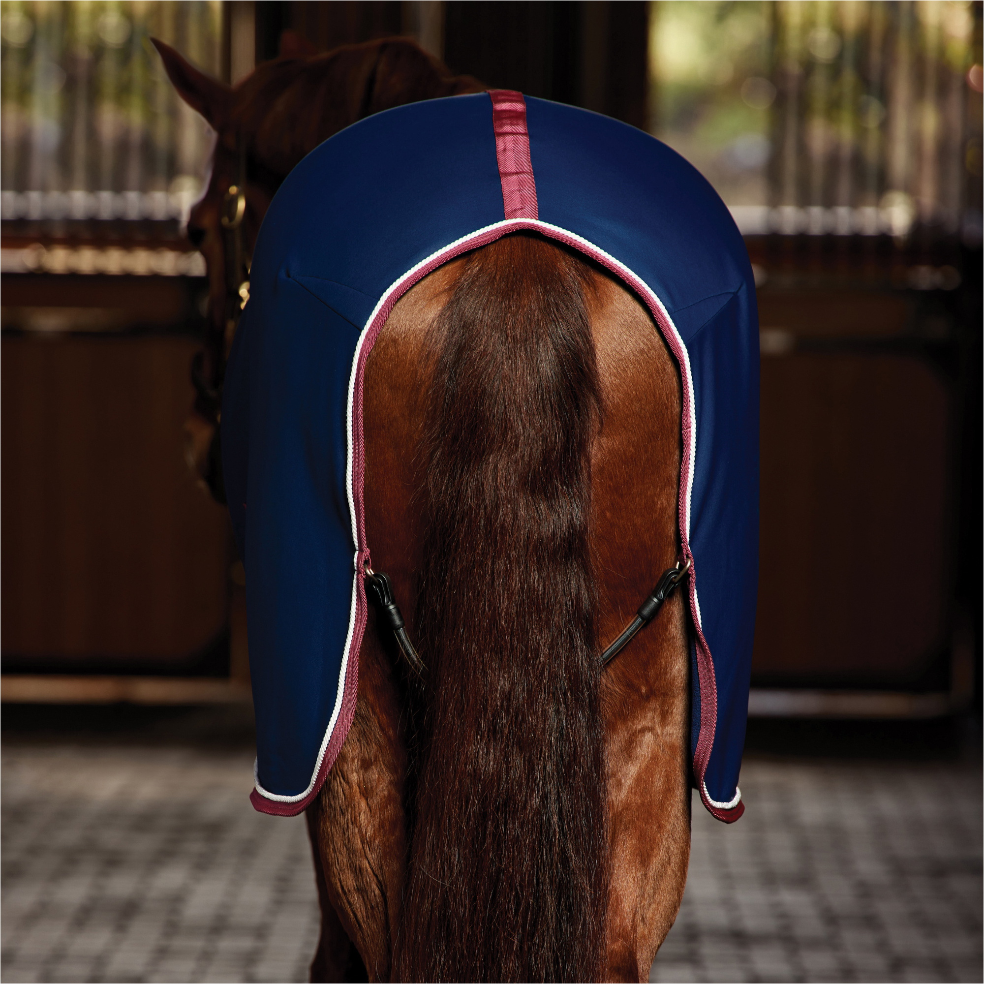 2025 WeatherBeeta Opulence Show Sheet Standard Neck 1024534 - Navy